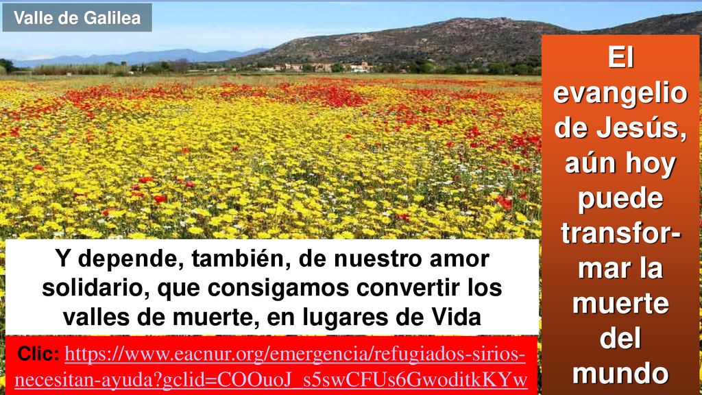 El evangelio de Jesús, aún hoy puede transfor-mar la muerte del mundo