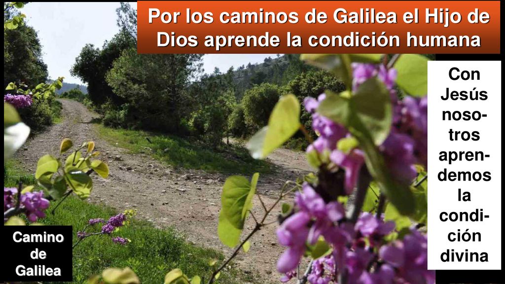 Por los caminos de Galilea el Hijo de Dios aprende la condición humana