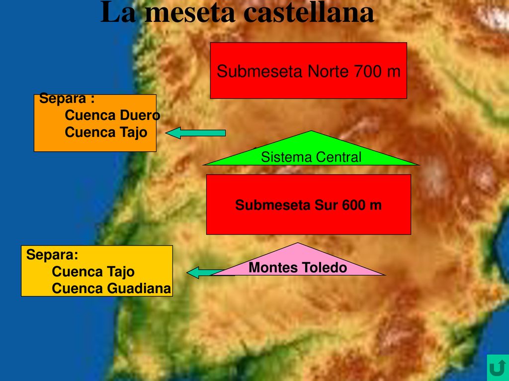 La meseta castellana Submeseta Norte 700 m Separa :
