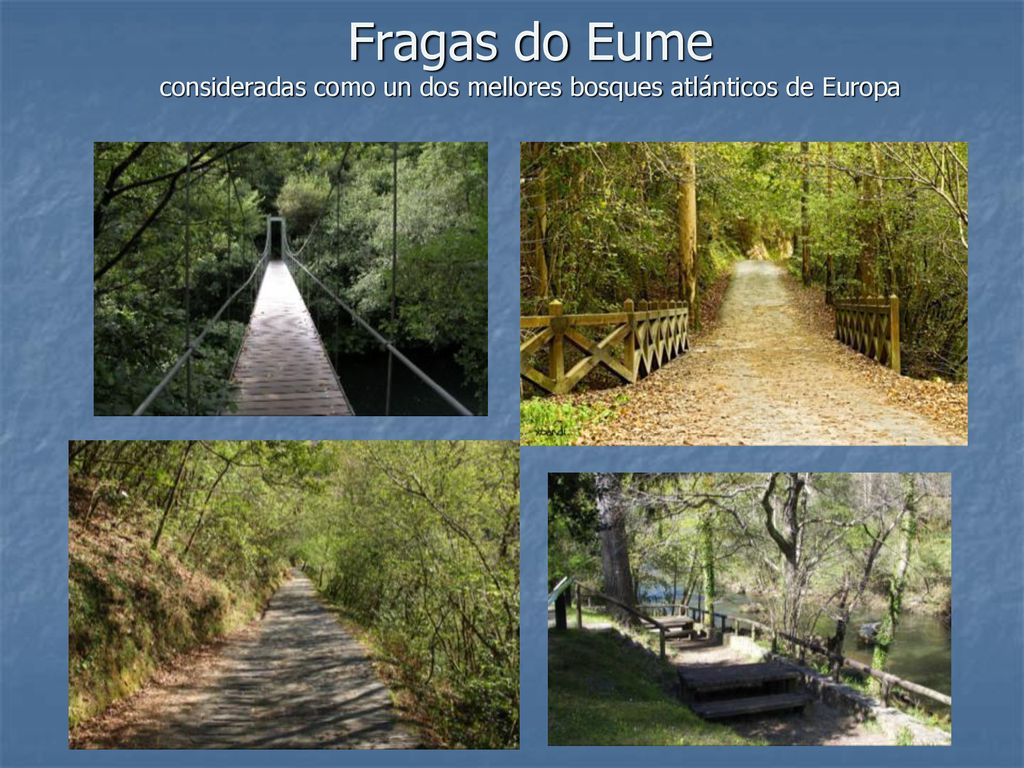 Fragas do Eume consideradas como un dos mellores bosques atlánticos de Europa