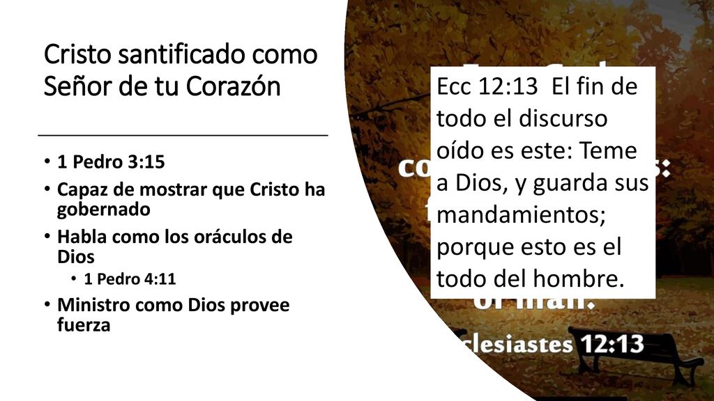 Cristo santificado como Señor de tu Corazón