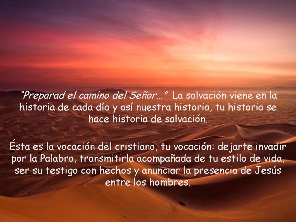 Preparad el camino del Señor… La salvación viene en la historia de cada día y así nuestra historia, tu historia se hace historia de salvación.