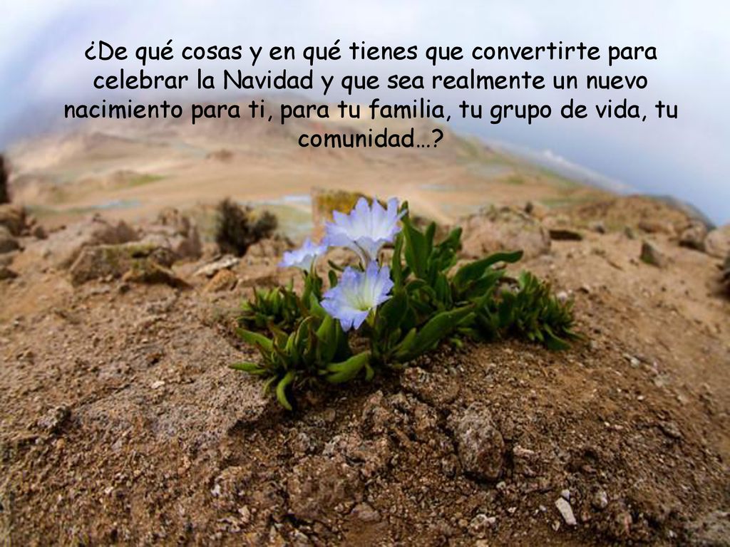 ¿De qué cosas y en qué tienes que convertirte para celebrar la Navidad y que sea realmente un nuevo nacimiento para ti, para tu familia, tu grupo de vida, tu comunidad…