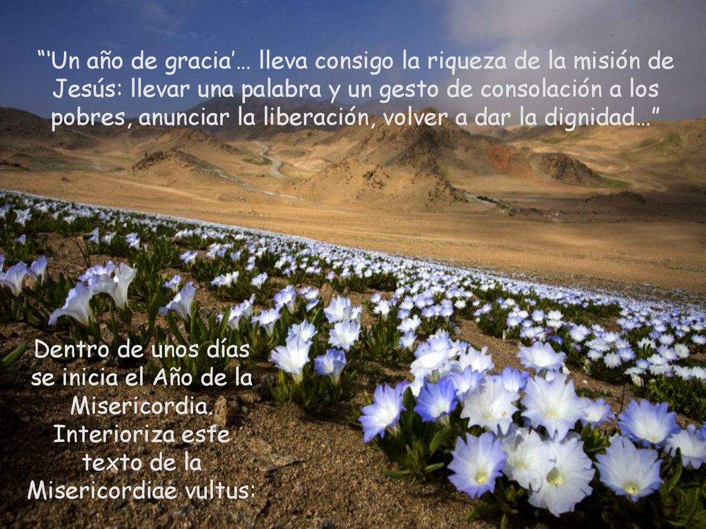 ‘Un año de gracia’… lleva consigo la riqueza de la misión de Jesús: llevar una palabra y un gesto de consolación a los pobres, anunciar la liberación, volver a dar la dignidad…