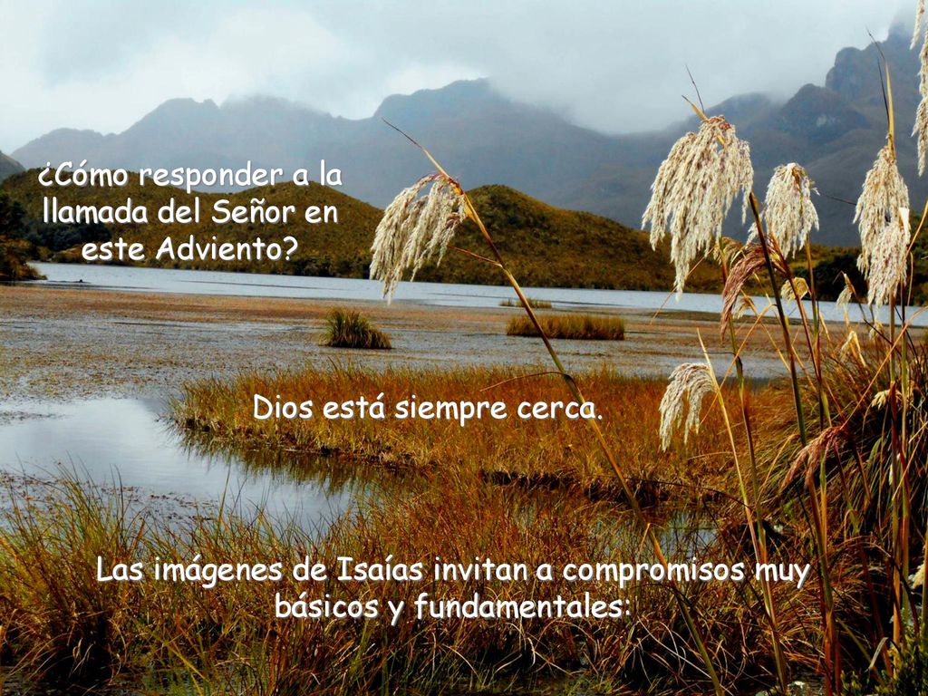 ¿Cómo responder a la llamada del Señor en este Adviento