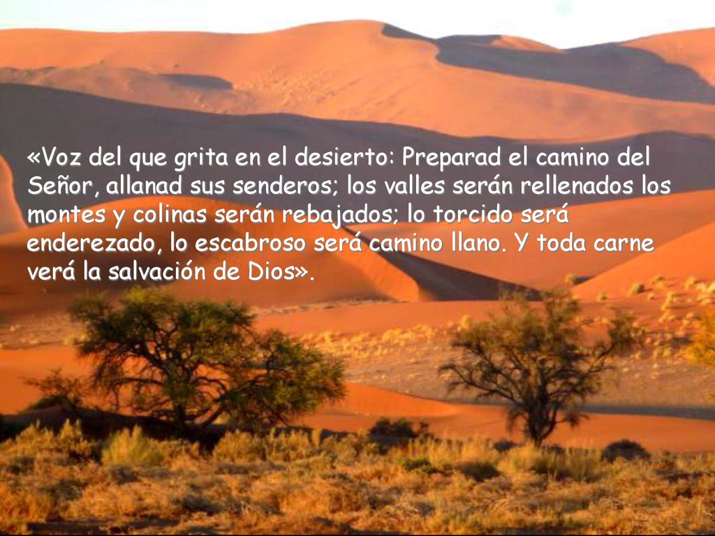 «Voz del que grita en el desierto: Preparad el camino del Señor, allanad sus senderos; los valles serán rellenados los montes y colinas serán rebajados; lo torcido será enderezado, lo escabroso será camino llano.