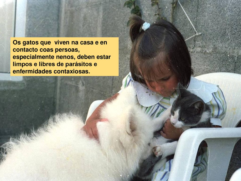 Os gatos que viven na casa e en contacto coas persoas, especialmente nenos, deben estar limpos e libres de parásitos e enfermidades contaxiosas.