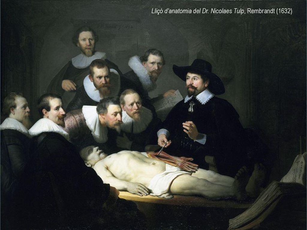 Lliçó d anatomia del Dr. Nicolaes Tulp, Rembrandt (1632)