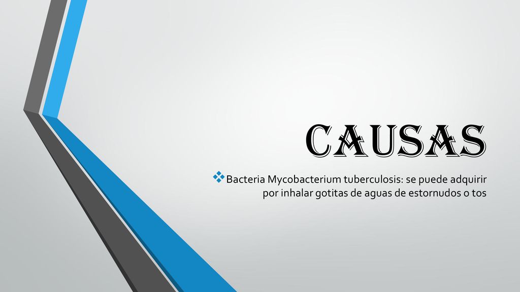 CAUSAS Bacteria Mycobacterium tuberculosis: se puede adquirir por inhalar gotitas de aguas de estornudos o tos.