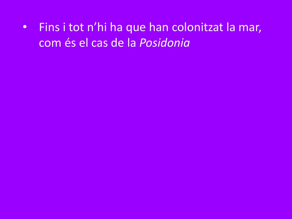 Fins i tot n’hi ha que han colonitzat la mar, com és el cas de la Posidonia
