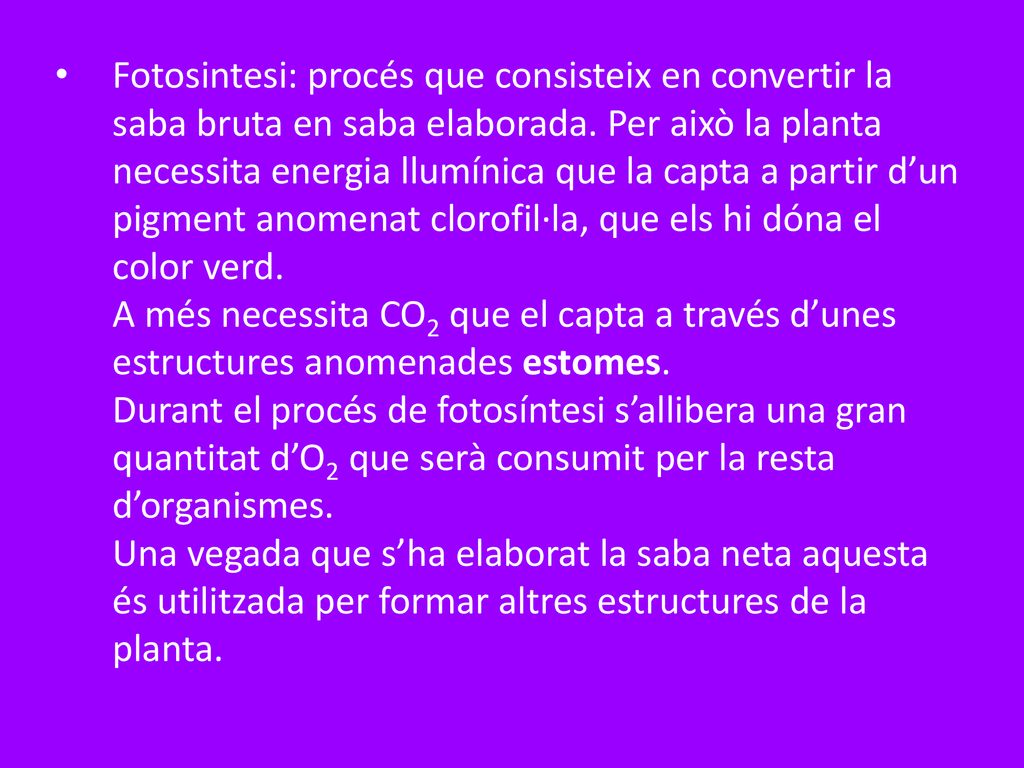 Fotosintesi: procés que consisteix en convertir la saba bruta en saba elaborada. Per això la planta necessita energia llumínica que la capta a partir d’un pigment anomenat clorofil·la, que els hi dóna el color verd.