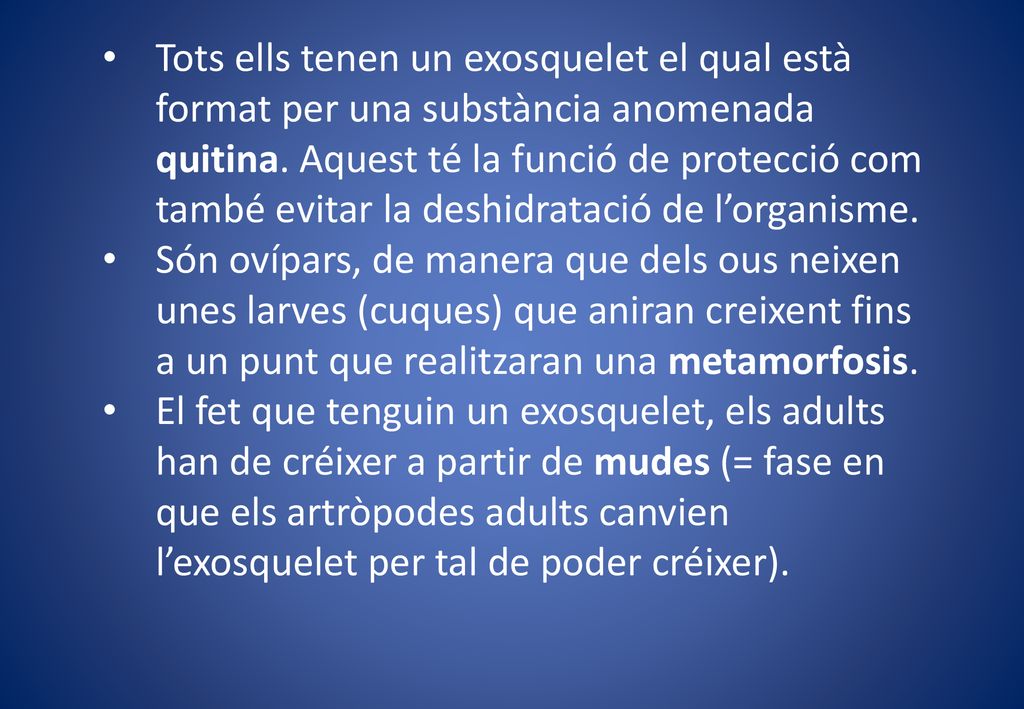 Tots ells tenen un exosquelet el qual està format per una substància anomenada quitina. Aquest té la funció de protecció com també evitar la deshidratació de l’organisme.