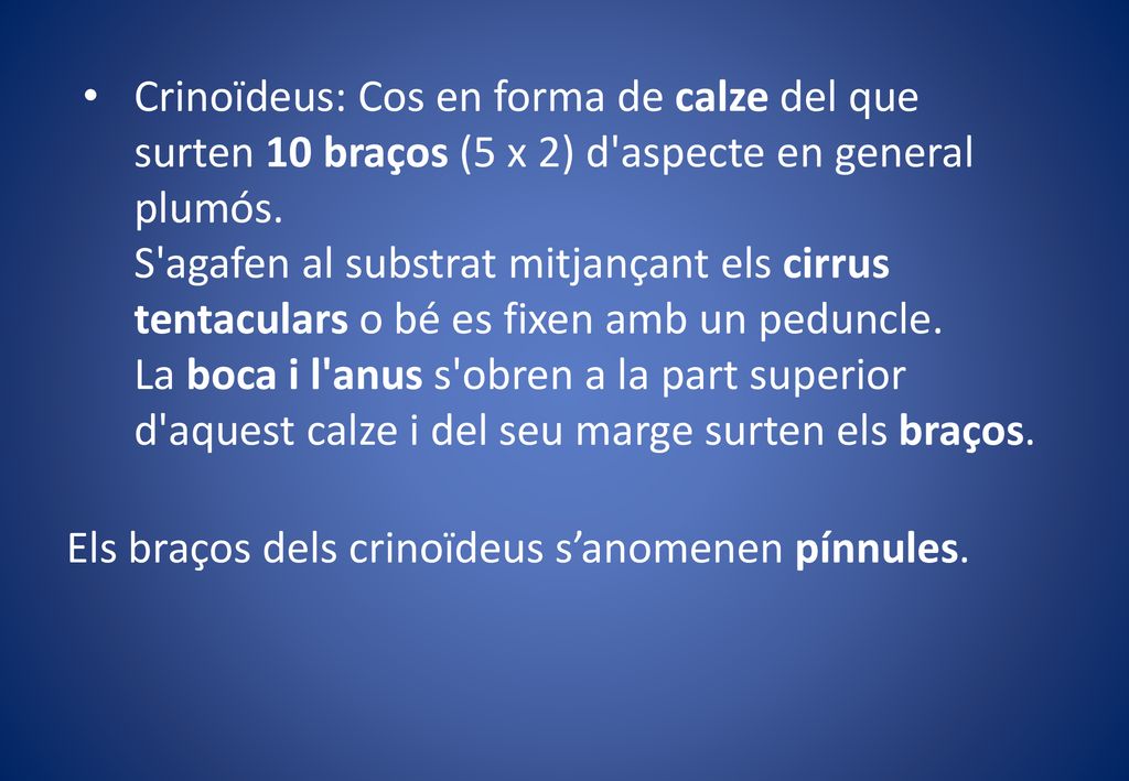 Crinoïdeus: Cos en forma de calze del que surten 10 braços (5 x 2) d aspecte en general plumós.