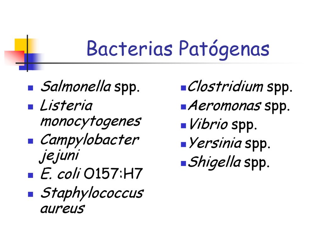 Bacterias Patógenas Salmonella spp. Listeria monocytogenes