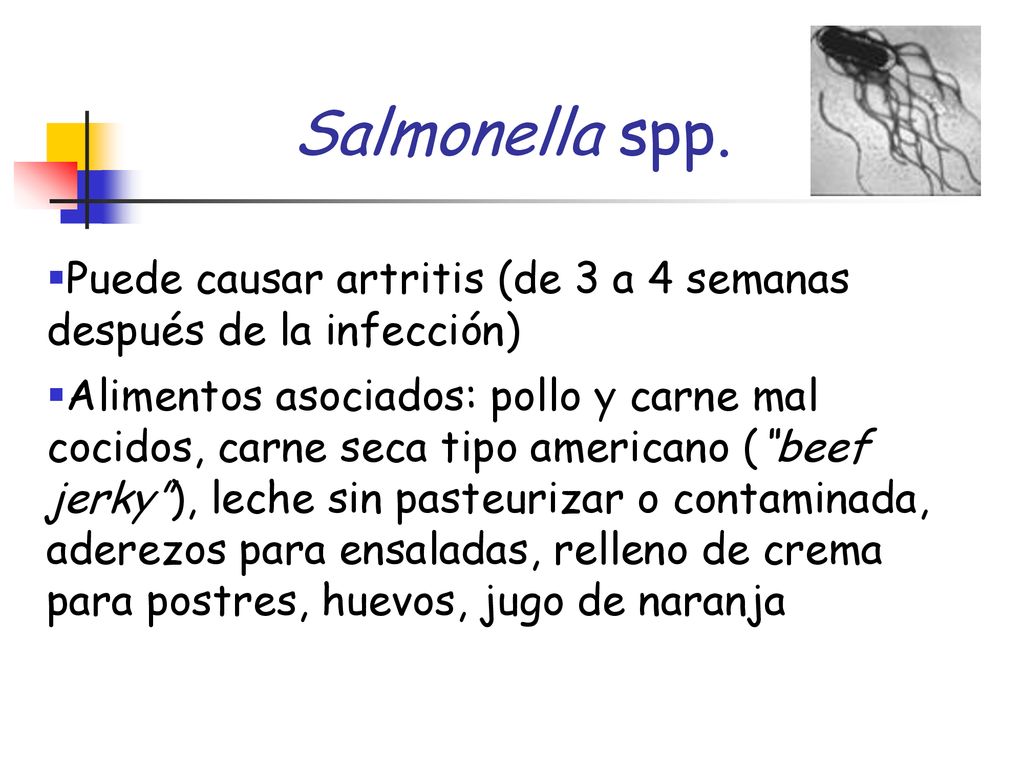 Salmonella spp. Puede causar artritis (de 3 a 4 semanas después de la infección)