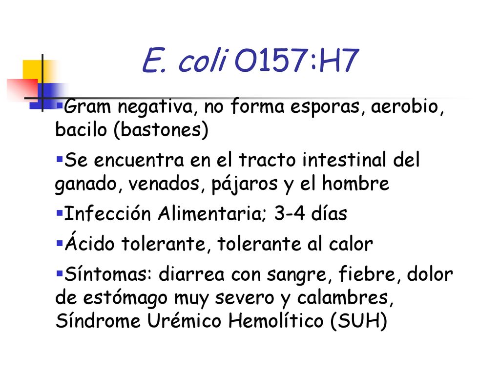 E. coli O157:H7 Gram negativa, no forma esporas, aerobio, bacilo (bastones)