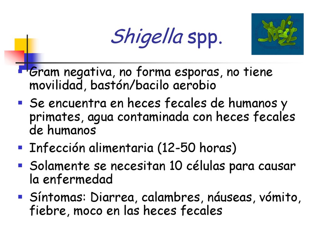 Shigella spp. Gram negativa, no forma esporas, no tiene movilidad, bastón/bacilo aerobio.