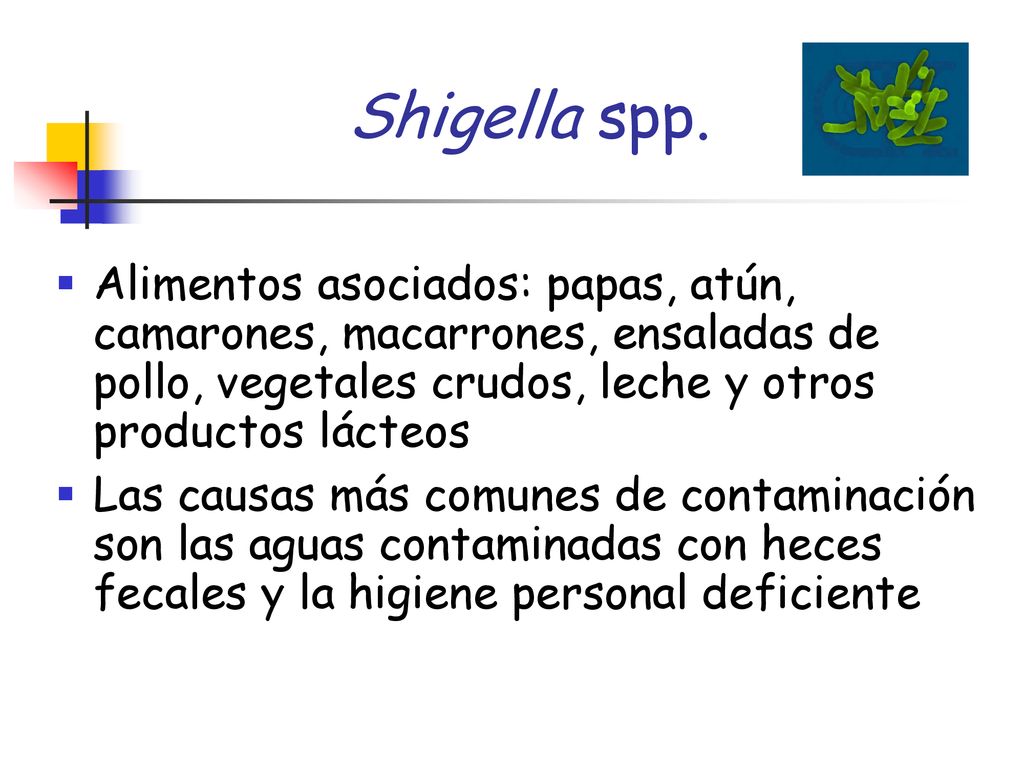 Shigella spp. Alimentos asociados: papas, atún, camarones, macarrones, ensaladas de pollo, vegetales crudos, leche y otros productos lácteos.