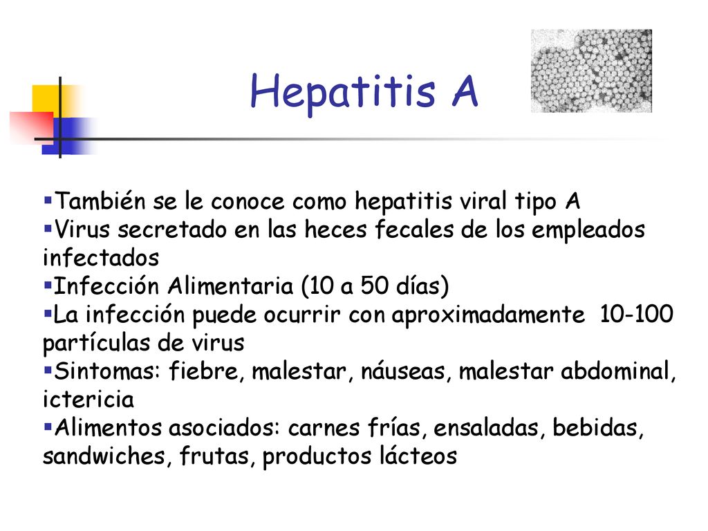 Hepatitis A También se le conoce como hepatitis viral tipo A