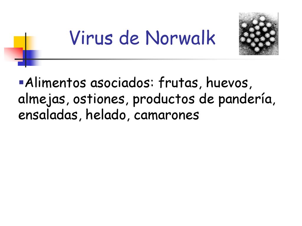 Virus de Norwalk Alimentos asociados: frutas, huevos, almejas, ostiones, productos de pandería, ensaladas, helado, camarones.