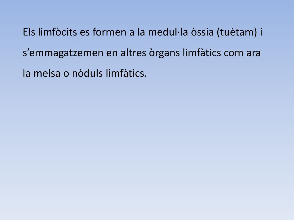 Els limfòcits es formen a la medul·la òssia (tuètam) i s’emmagatzemen en altres òrgans limfàtics com ara la melsa o nòduls limfàtics.