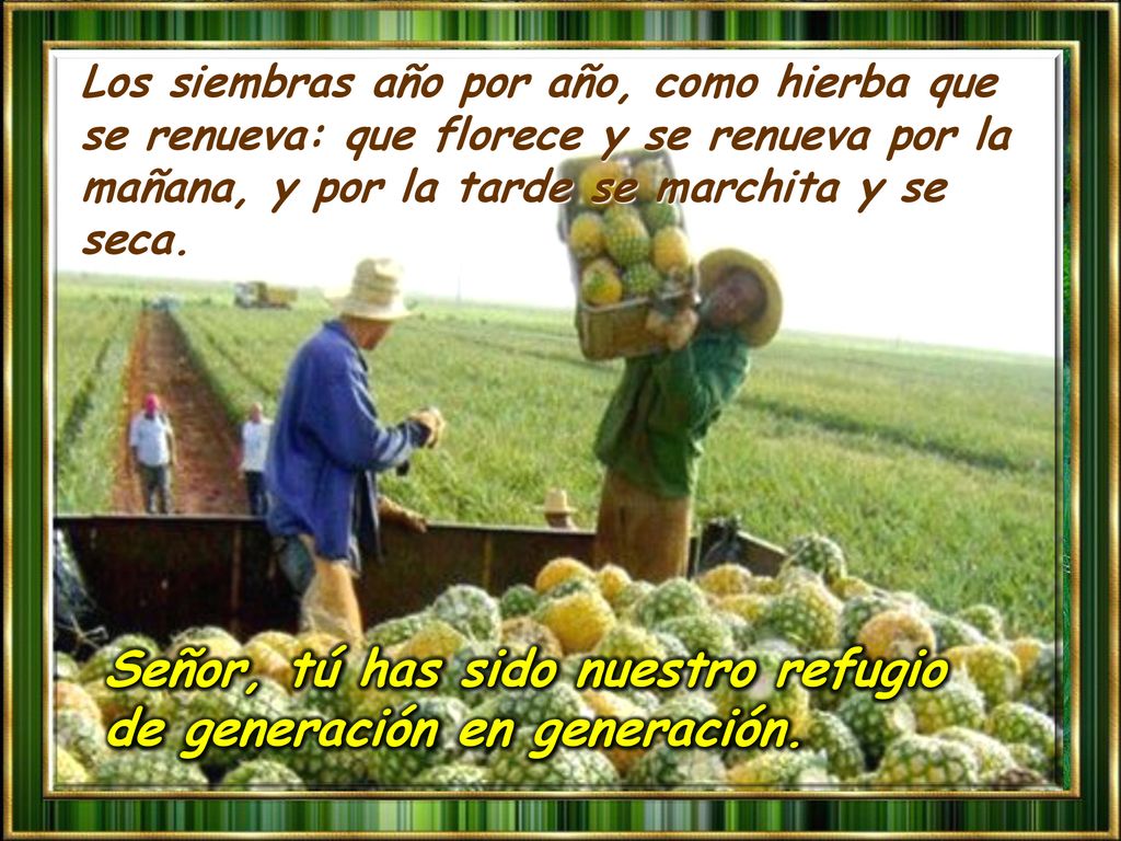 Señor, tú has sido nuestro refugio de generación en generación.