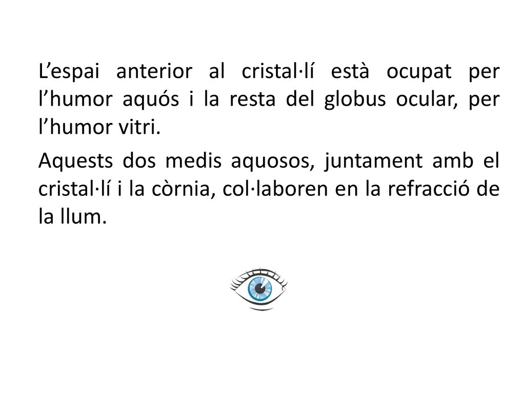 L’espai anterior al cristal·lí està ocupat per l’humor aquós i la resta del globus ocular, per l’humor vitri.