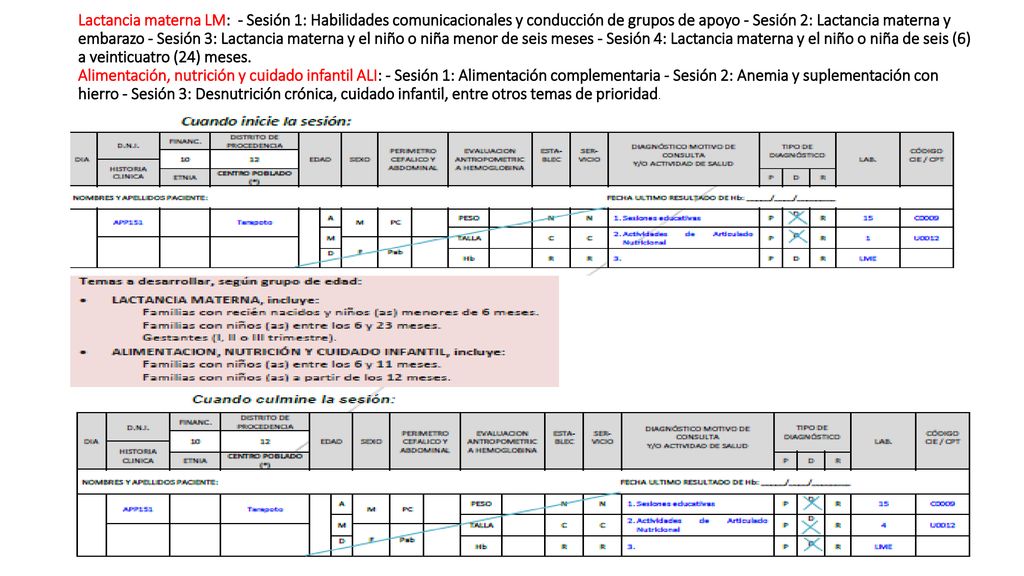 Lactancia materna LM: - Sesión 1: Habilidades comunicacionales y conducción de grupos de apoyo - Sesión 2: Lactancia materna y embarazo - Sesión 3: Lactancia materna y el niño o niña menor de seis meses - Sesión 4: Lactancia materna y el niño o niña de seis (6) a veinticuatro (24) meses.