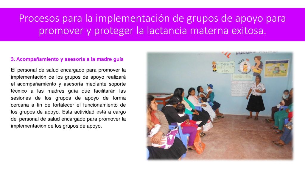 Procesos para la implementación de grupos de apoyo para promover y proteger la lactancia materna exitosa.