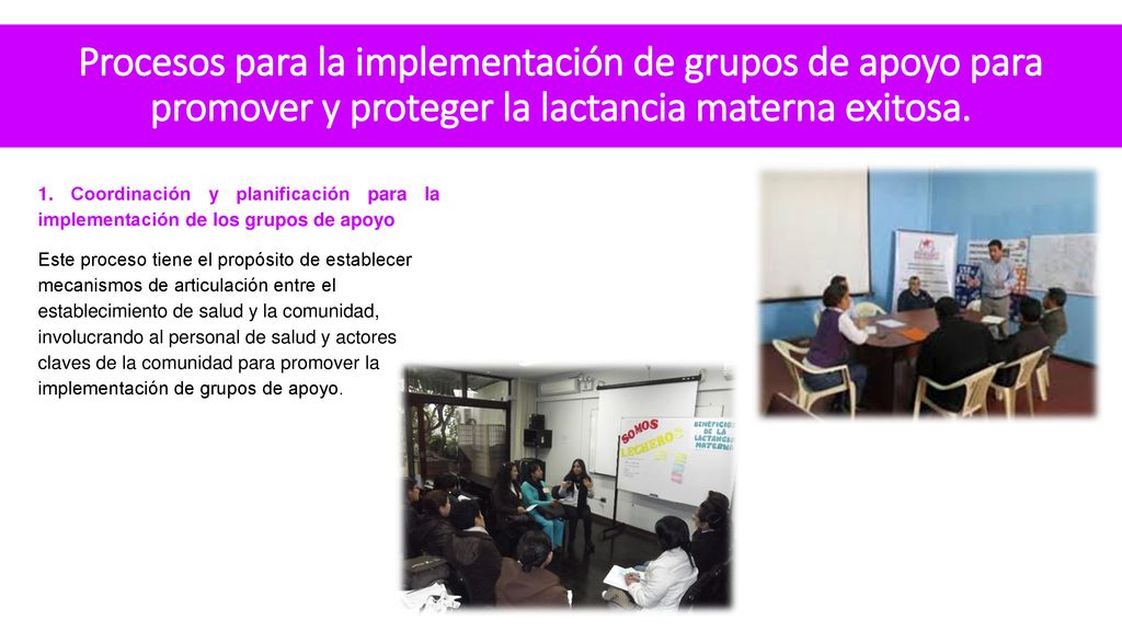 Procesos para la implementación de grupos de apoyo para promover y proteger la lactancia materna exitosa.