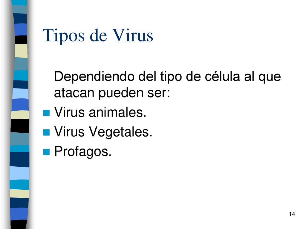 Tipos de Virus Dependiendo del tipo de célula al que atacan pueden ser: Virus animales. Virus Vegetales.