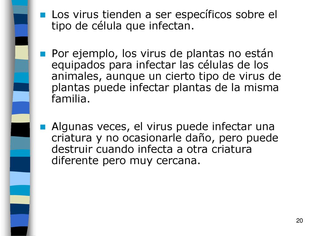 Los virus tienden a ser específicos sobre el tipo de célula que infectan.