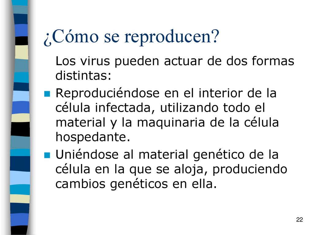 ¿Cómo se reproducen Los virus pueden actuar de dos formas distintas: