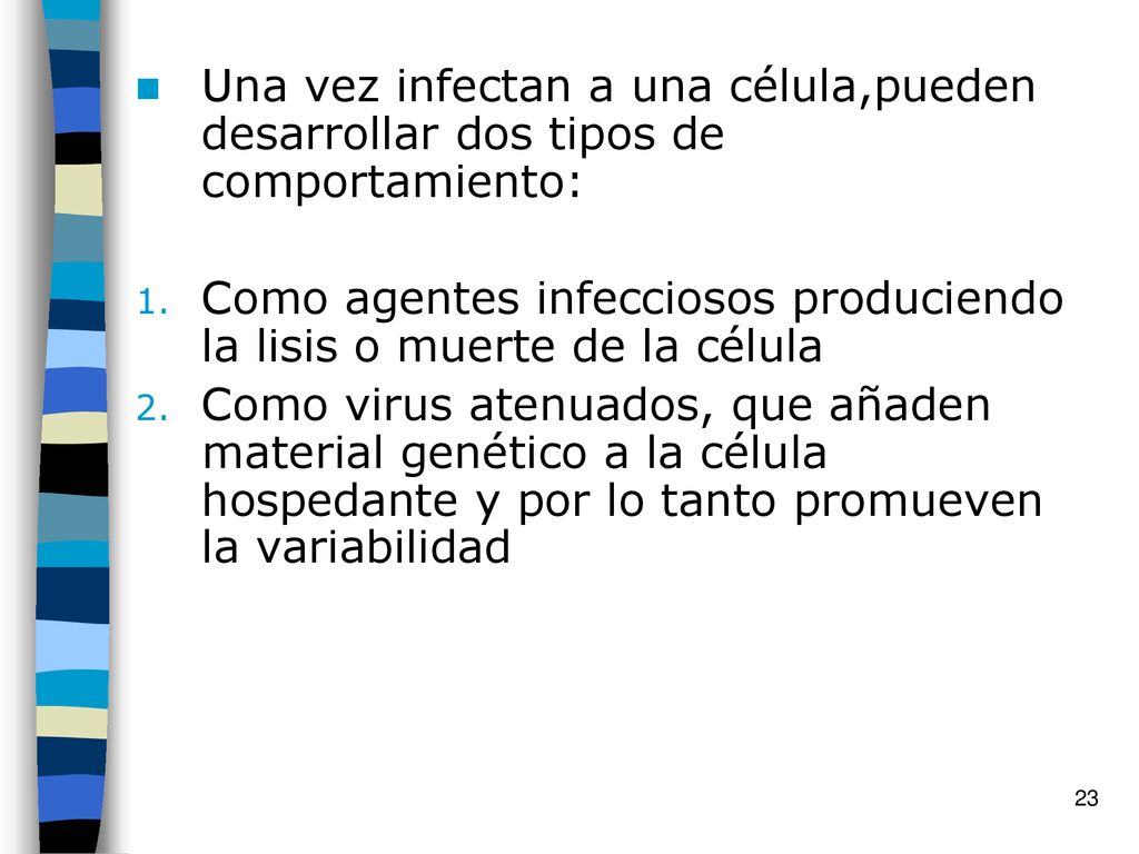 Una vez infectan a una célula,pueden desarrollar dos tipos de comportamiento: