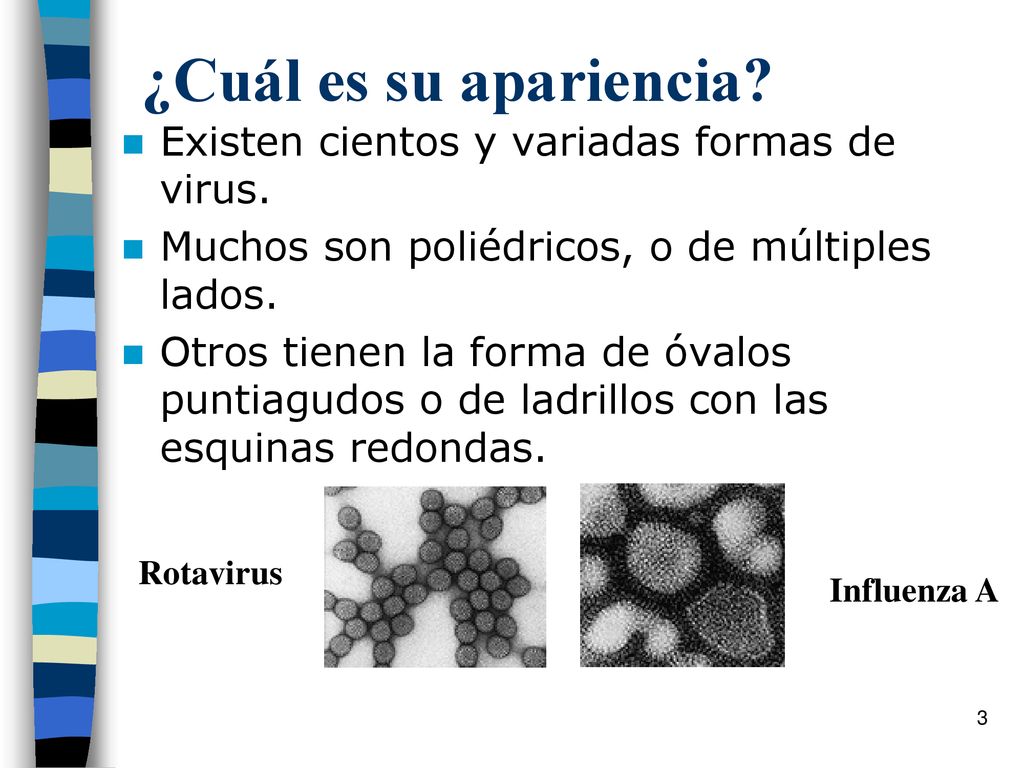 ¿Cuál es su apariencia Existen cientos y variadas formas de virus.