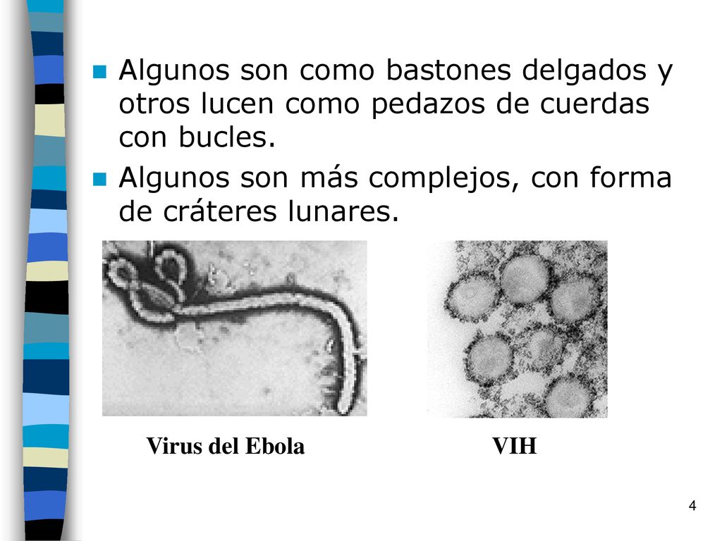 Algunos son más complejos, con forma de cráteres lunares.