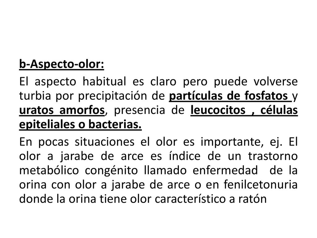b-Aspecto-olor: El aspecto habitual es claro pero puede volverse turbia por precipitación de partículas de fosfatos y uratos amorfos, presencia de leucocitos , células epiteliales o bacterias.