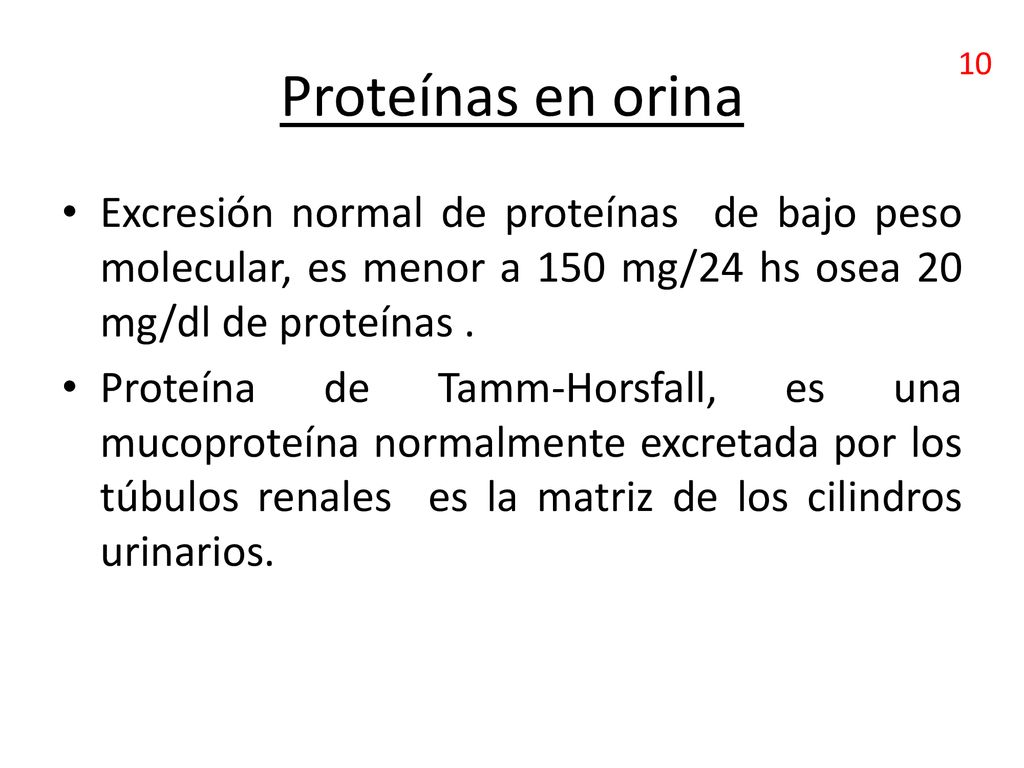 Proteínas en orina 10. Excresión normal de proteínas de bajo peso molecular, es menor a 150 mg/24 hs osea 20 mg/dl de proteínas .
