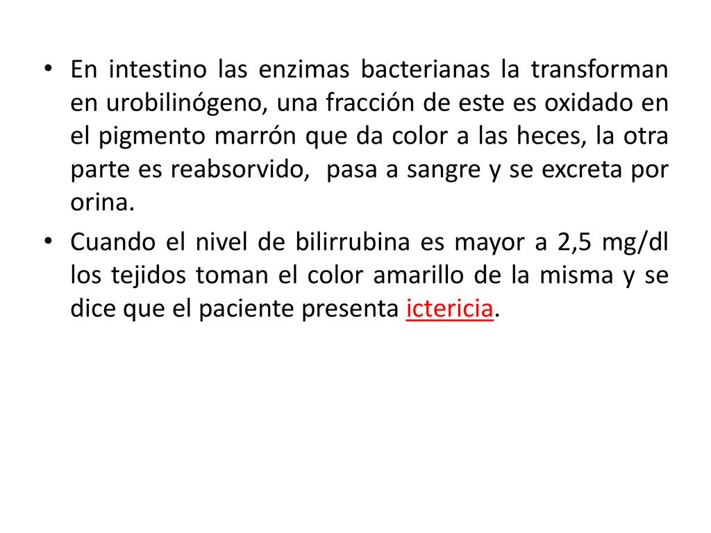 En intestino las enzimas bacterianas la transforman en urobilinógeno, una fracción de este es oxidado en el pigmento marrón que da color a las heces, la otra parte es reabsorvido, pasa a sangre y se excreta por orina.