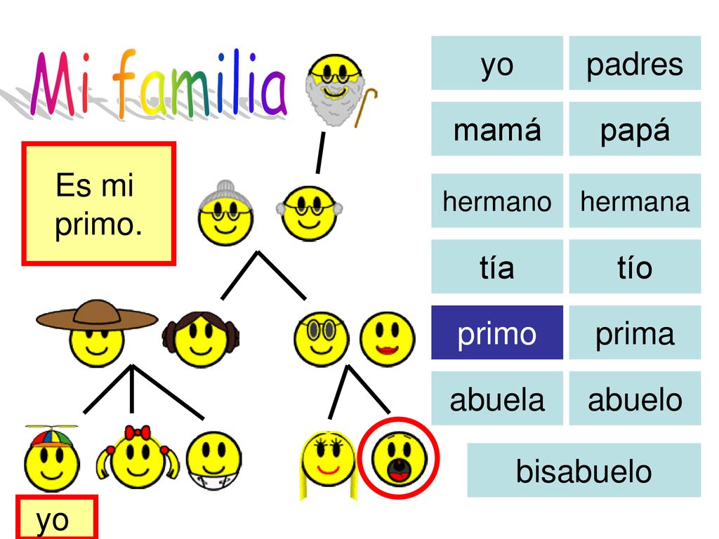 Mi familia yo padres mamá papá Es mi primo. tía tío primo prima abuela