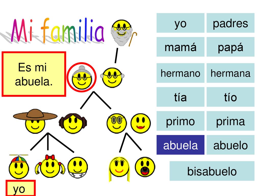 Mi familia yo padres mamá papá Es mi abuela. tía tío primo prima