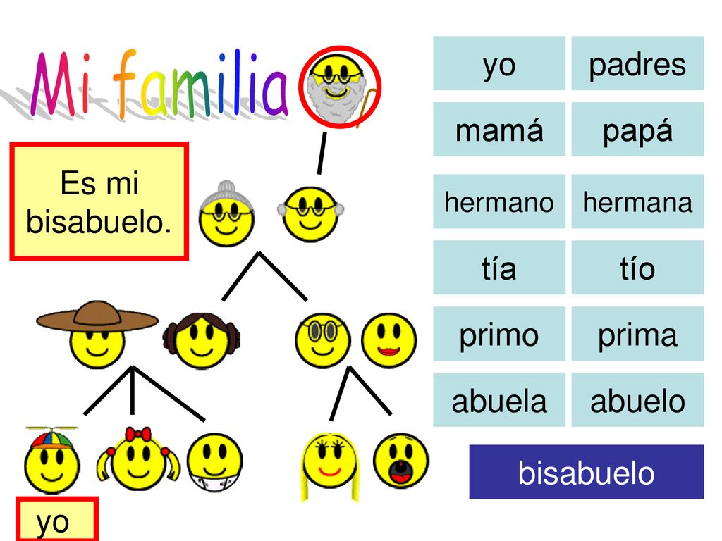 Mi familia yo padres mamá papá Es mi bisabuelo. tía tío primo prima