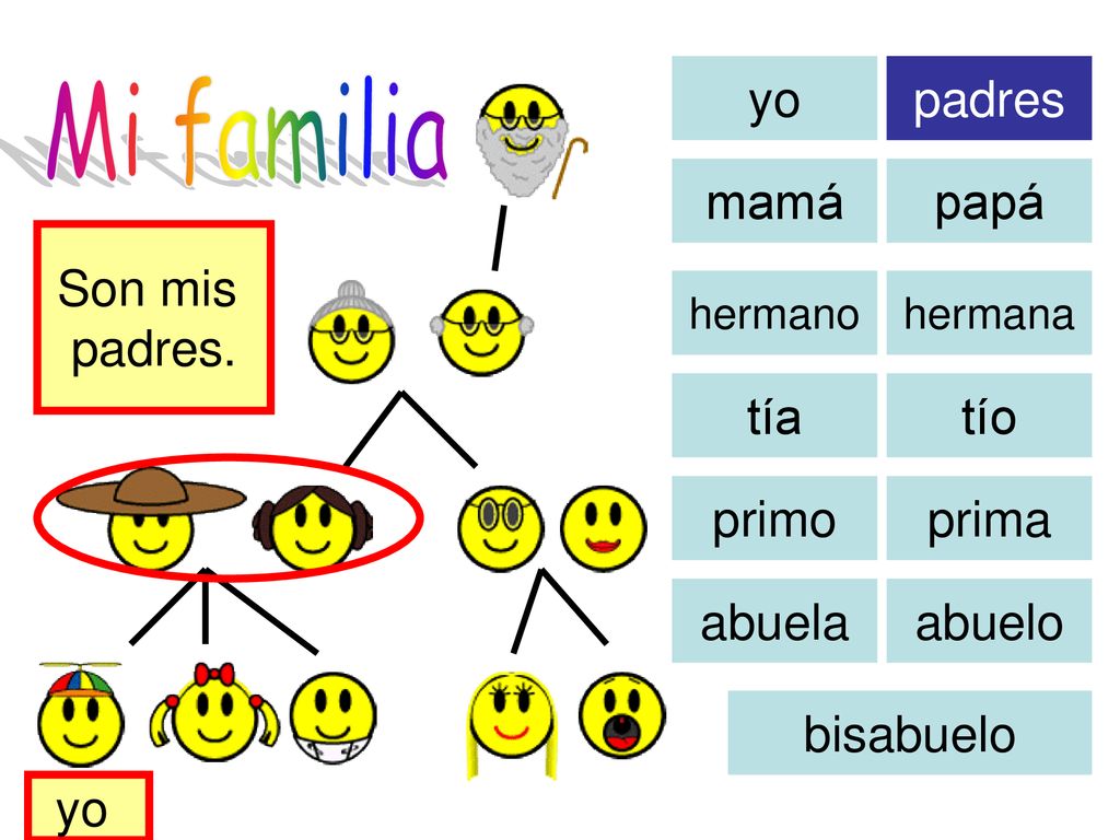 Mi familia yo padres mamá papá Son mis padres. tía tío primo prima