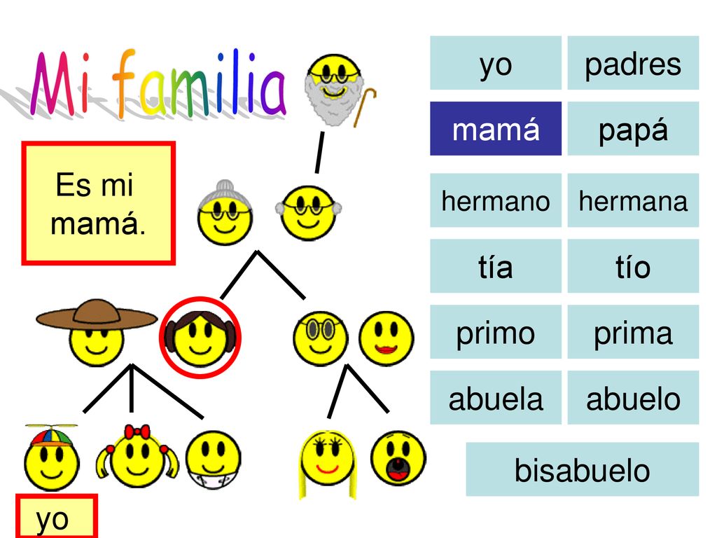 Mi familia yo padres mamá papá Es mi mamá. tía tío primo prima abuela