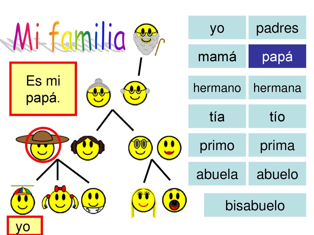 Mi familia yo padres mamá papá Es mi papá. tía tío primo prima abuela