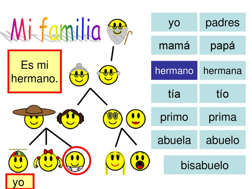 Mi familia yo padres mamá papá Es mi hermano. tía tío primo prima