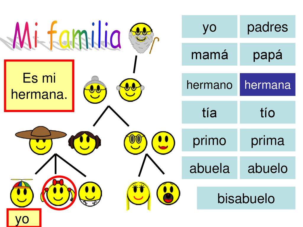 Mi familia yo padres mamá papá Es mi hermana. tía tío primo prima