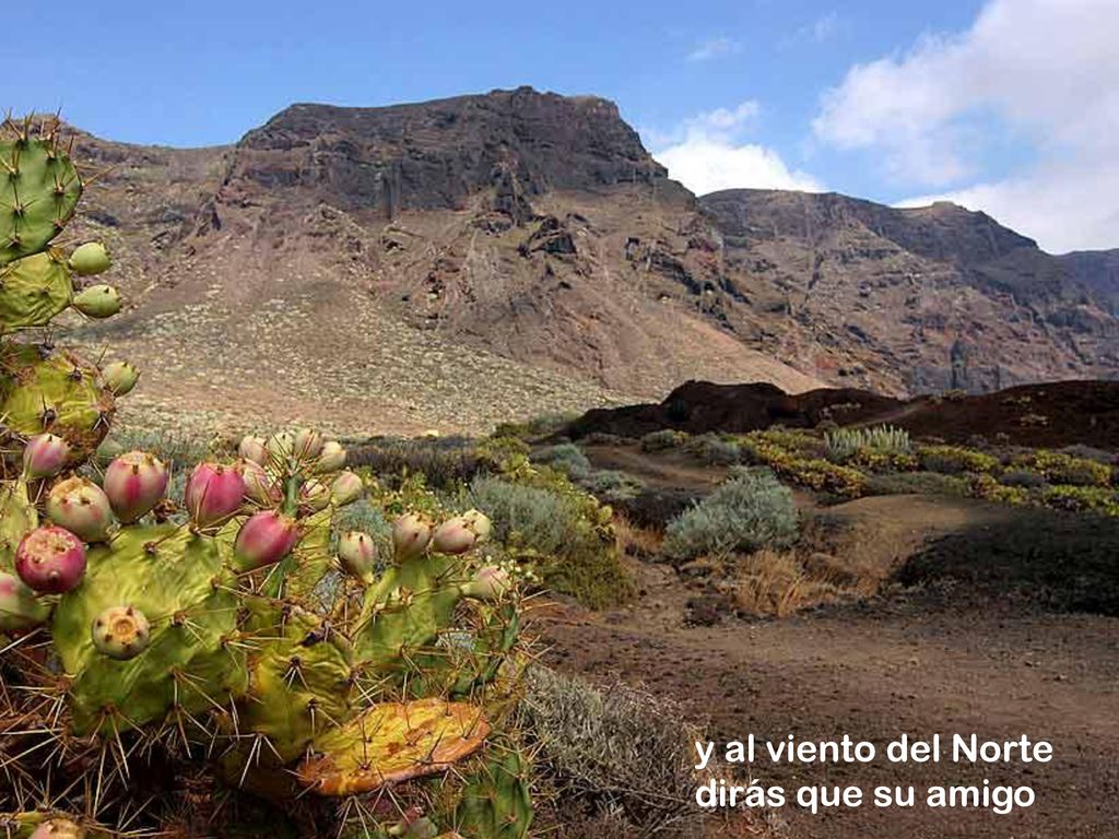 y al viento del Norte dirás que su amigo