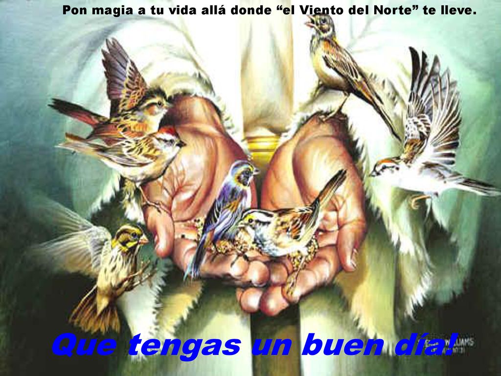 Pon magia a tu vida allá donde el Viento del Norte te lleve.