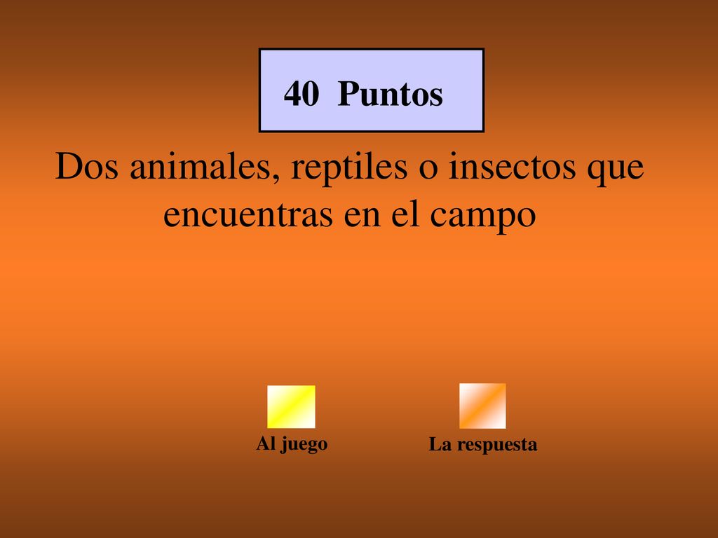 Dos animales, reptiles o insectos que encuentras en el campo